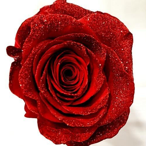 Glitter Roses(for all roses)